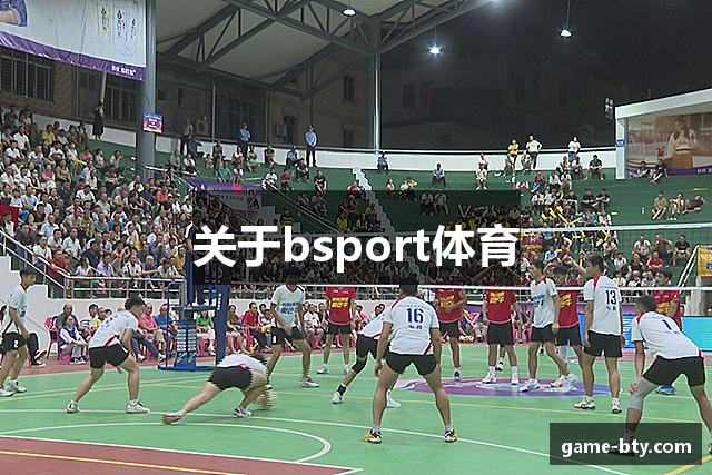 关于bsport体育
